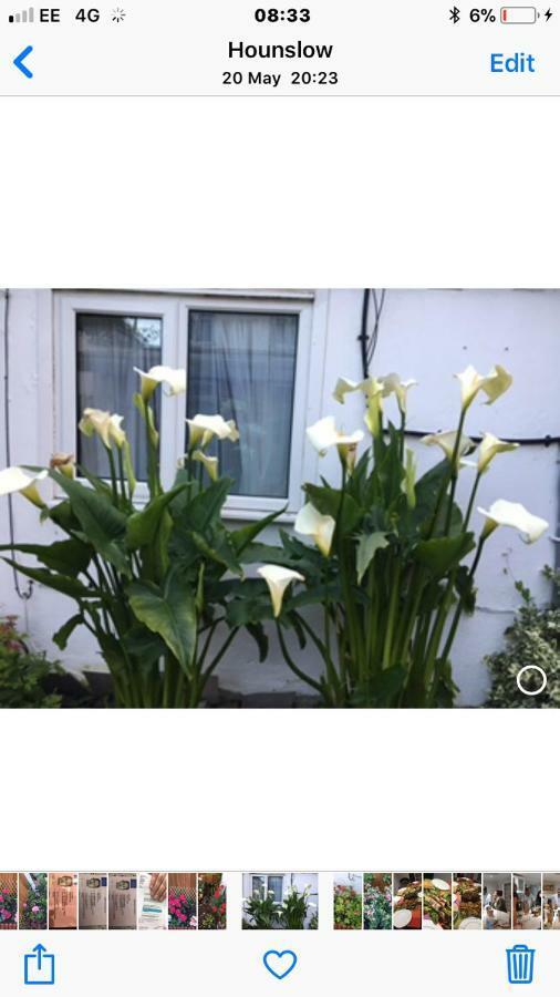 Apartament House Hounslow Zewnętrze zdjęcie